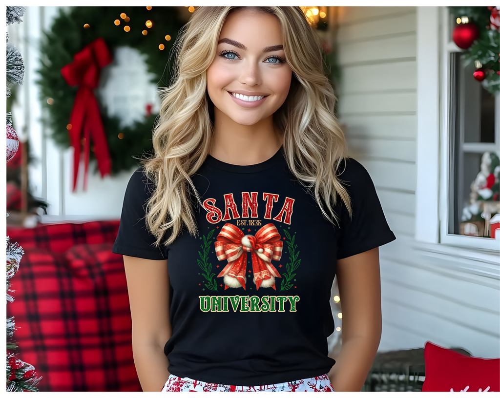 Santa Univeristy Tee - [farm_afternoons]