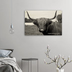 "Ferdy" - Wood Prints - [farm_afternoons]