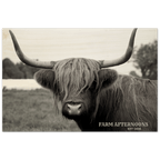 "Ferdy" - Wood Prints - [farm_afternoons]