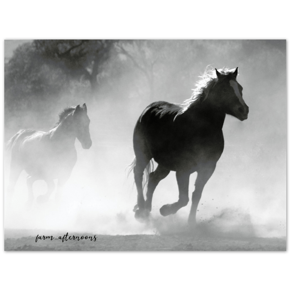 Wild Horses - Aluminum Print - [farm_afternoons]